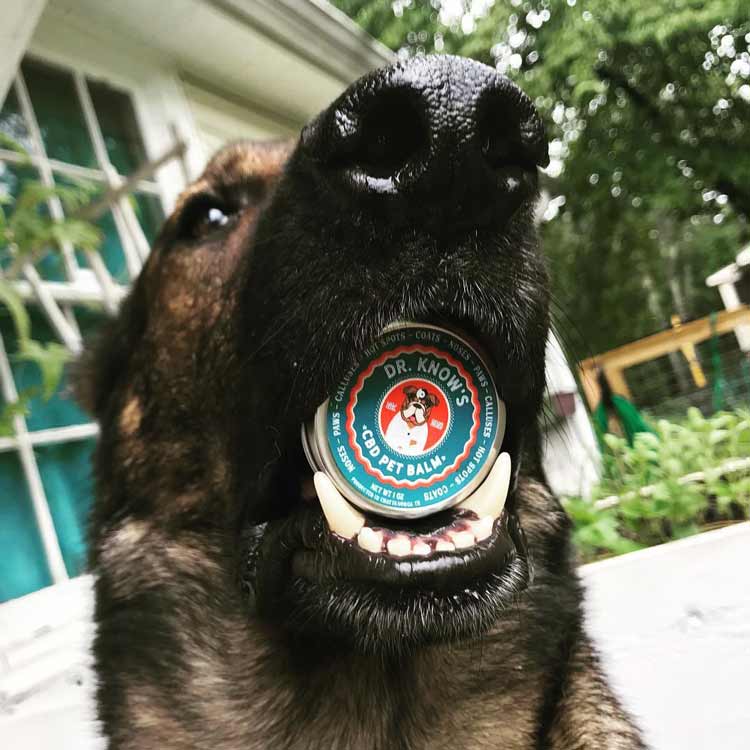 Strider with his Nose Balm